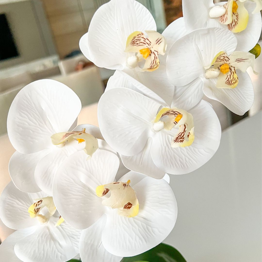 ARRANJO DE ORQUÍDEA BRANCA VASO DE VIDRO INCOLOR LUIS 2