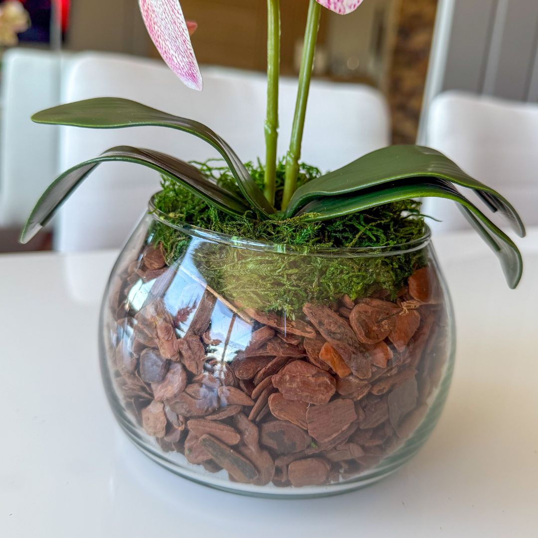 ARRANJO DE MINI ORQUÍDEA ROSA MISTA ELENA VASO DE VIDRO INCOLOR LUIS 3