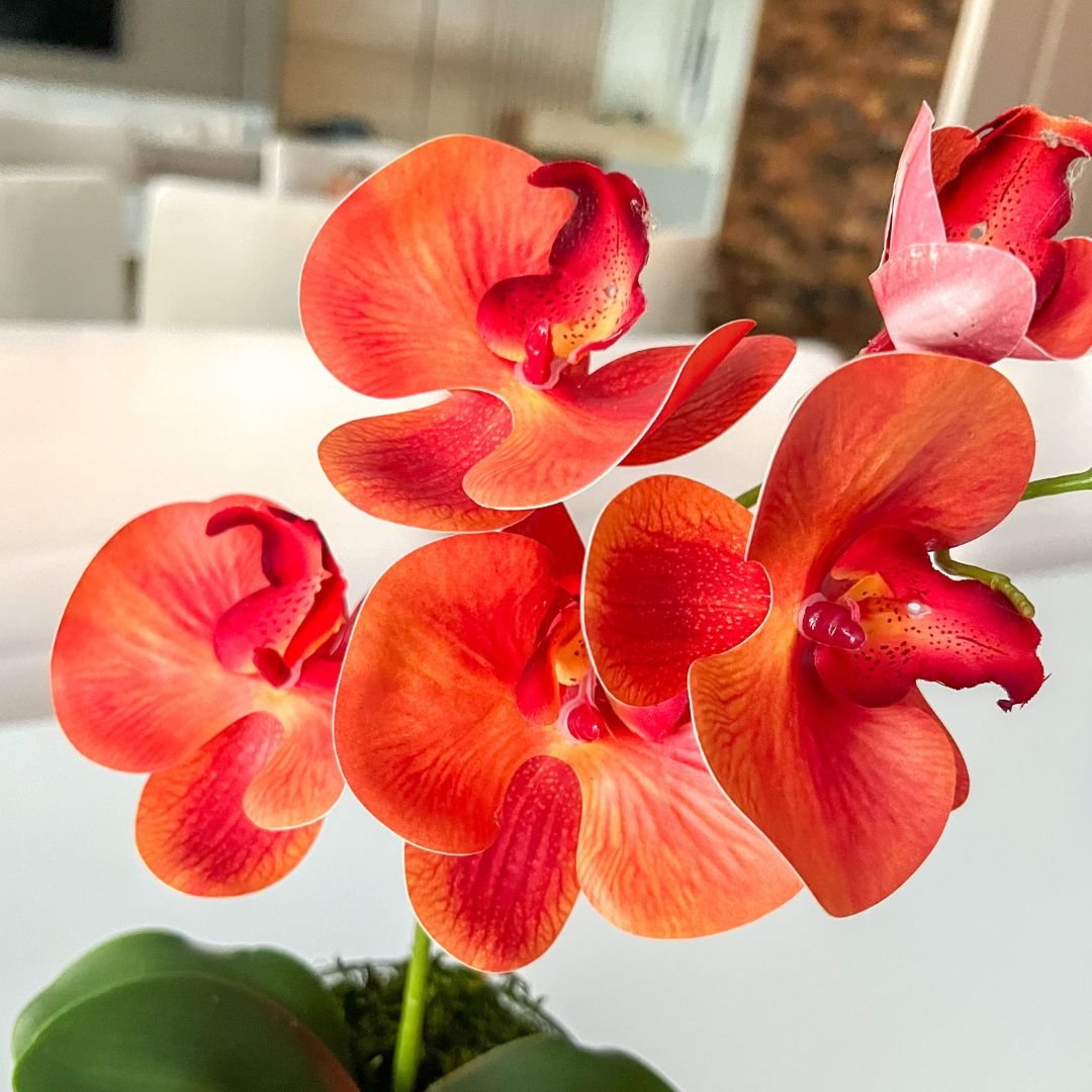 ARRANJO DE ORQUÍDEA LARANJA VASO DE VIDRO INCOLOR LUIS 2