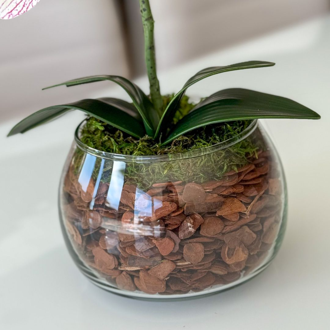 ARRANJO DE ORQUÍDEA ROSA MISTA LÍVIA VASO DE VIDRO INCOLOR LUIS 3