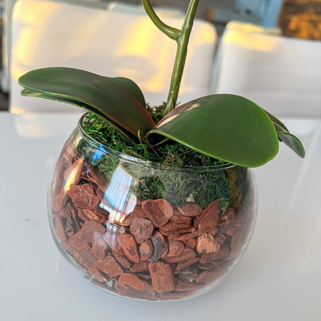 ARRANJO DE ORQUÍDEA VERMELHA VASO DE VIDRO INCOLOR LUIS 3