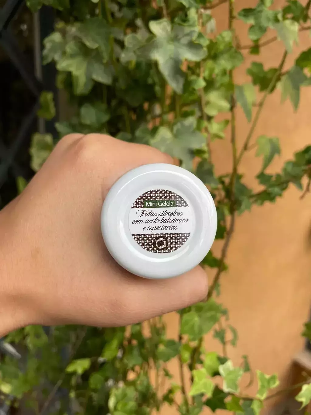 Kit Amostra Mini Geleias Artesanais + Queijo Canastra 8