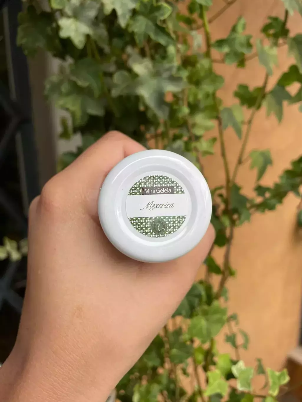 Kit Amostra Mini Geleias Artesanais + Queijo Canastra 1