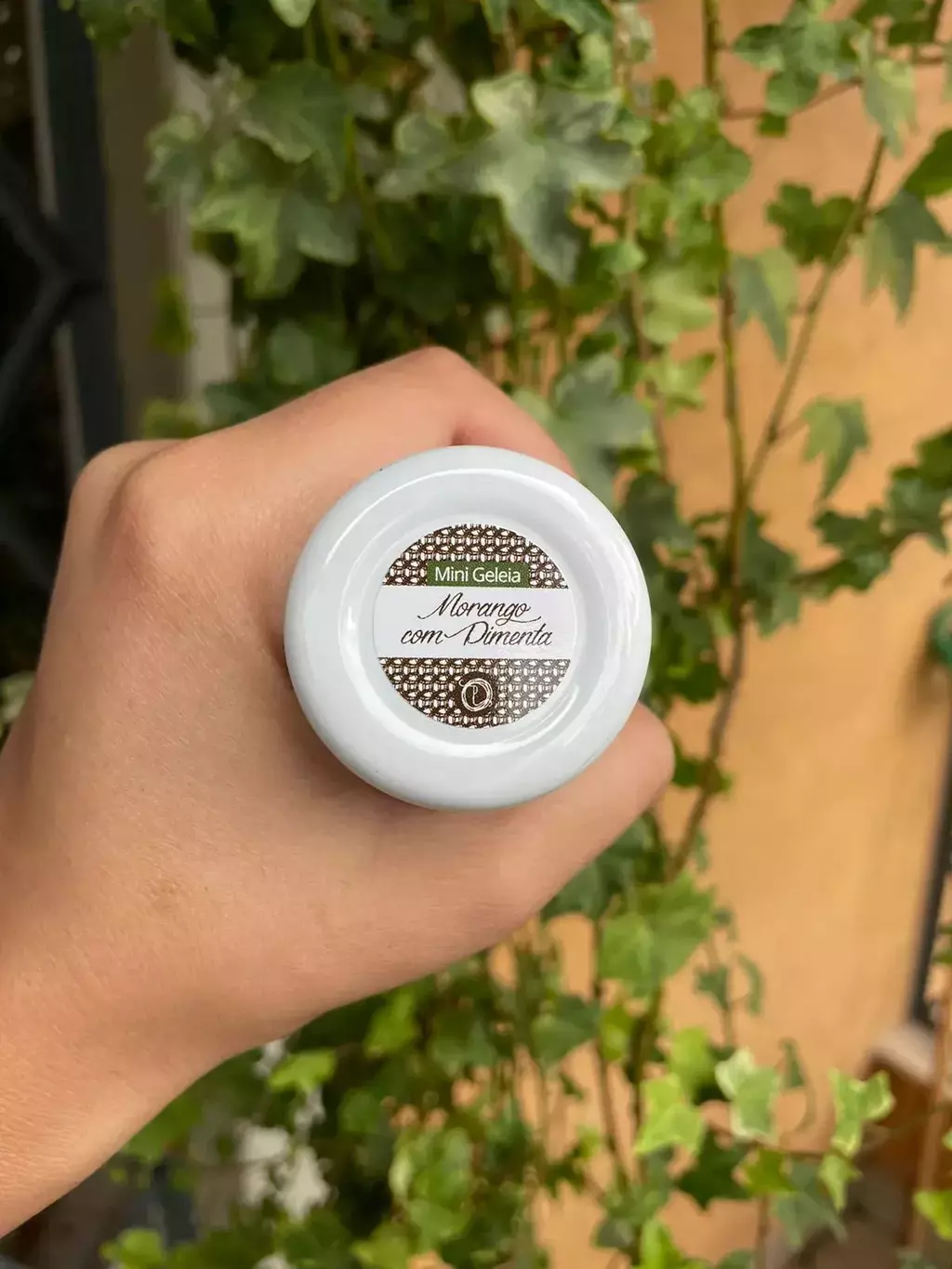 Kit Amostra Mini Geleias Artesanais + Queijo Canastra 2
