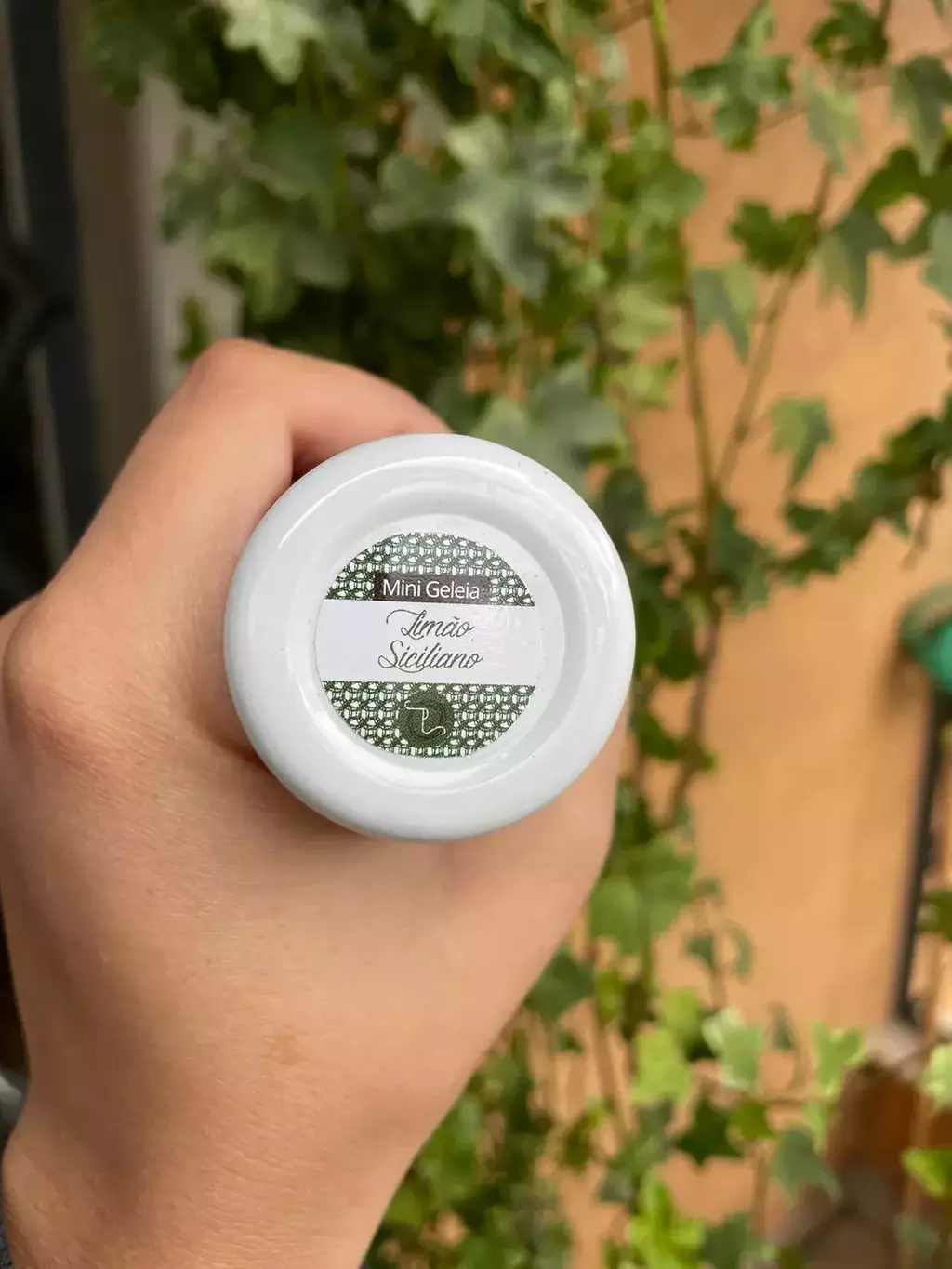 Kit Amostra Mini Geleias Artesanais + Queijo Canastra 3