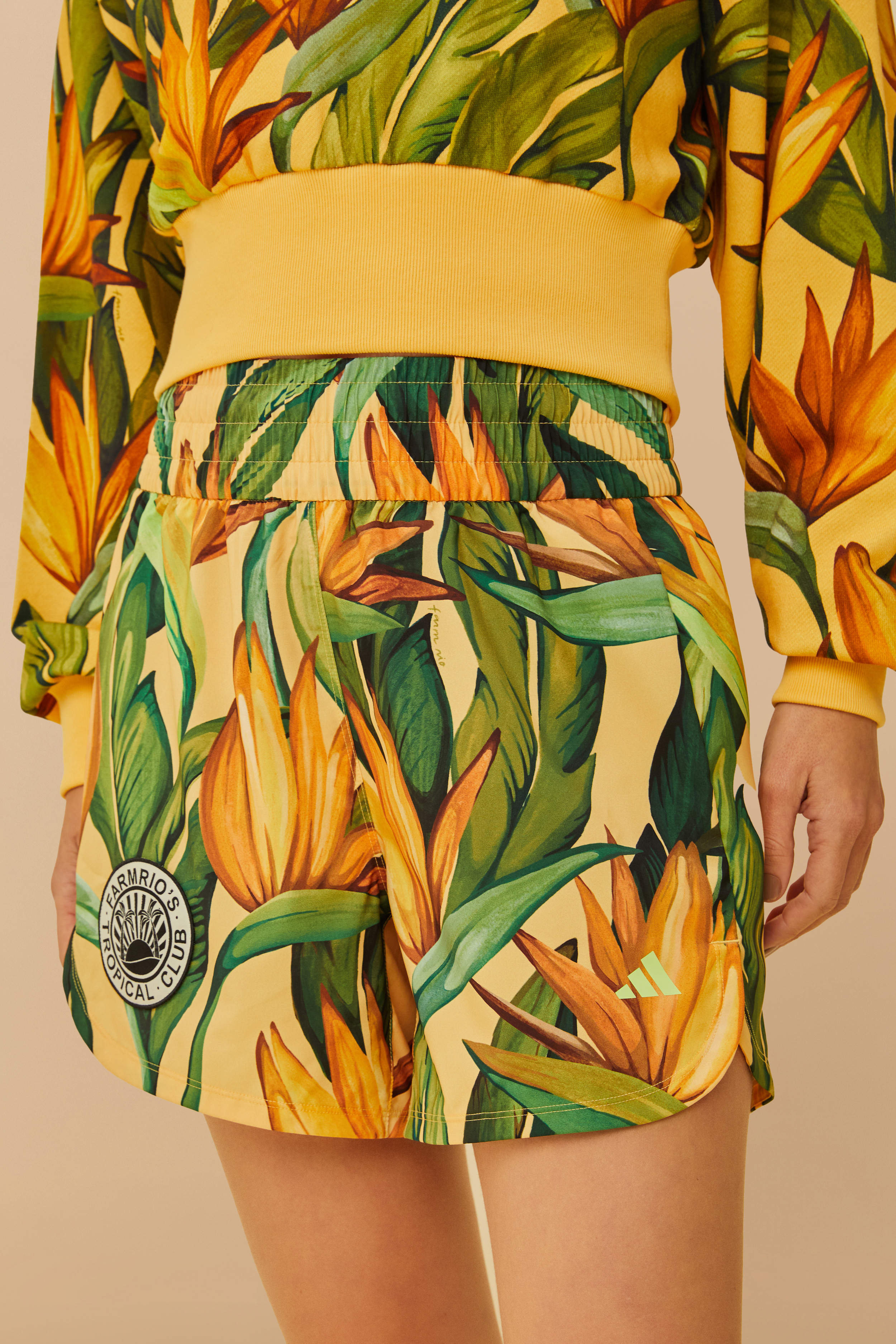 Conjunto Adidas Bird Of Paradise 2